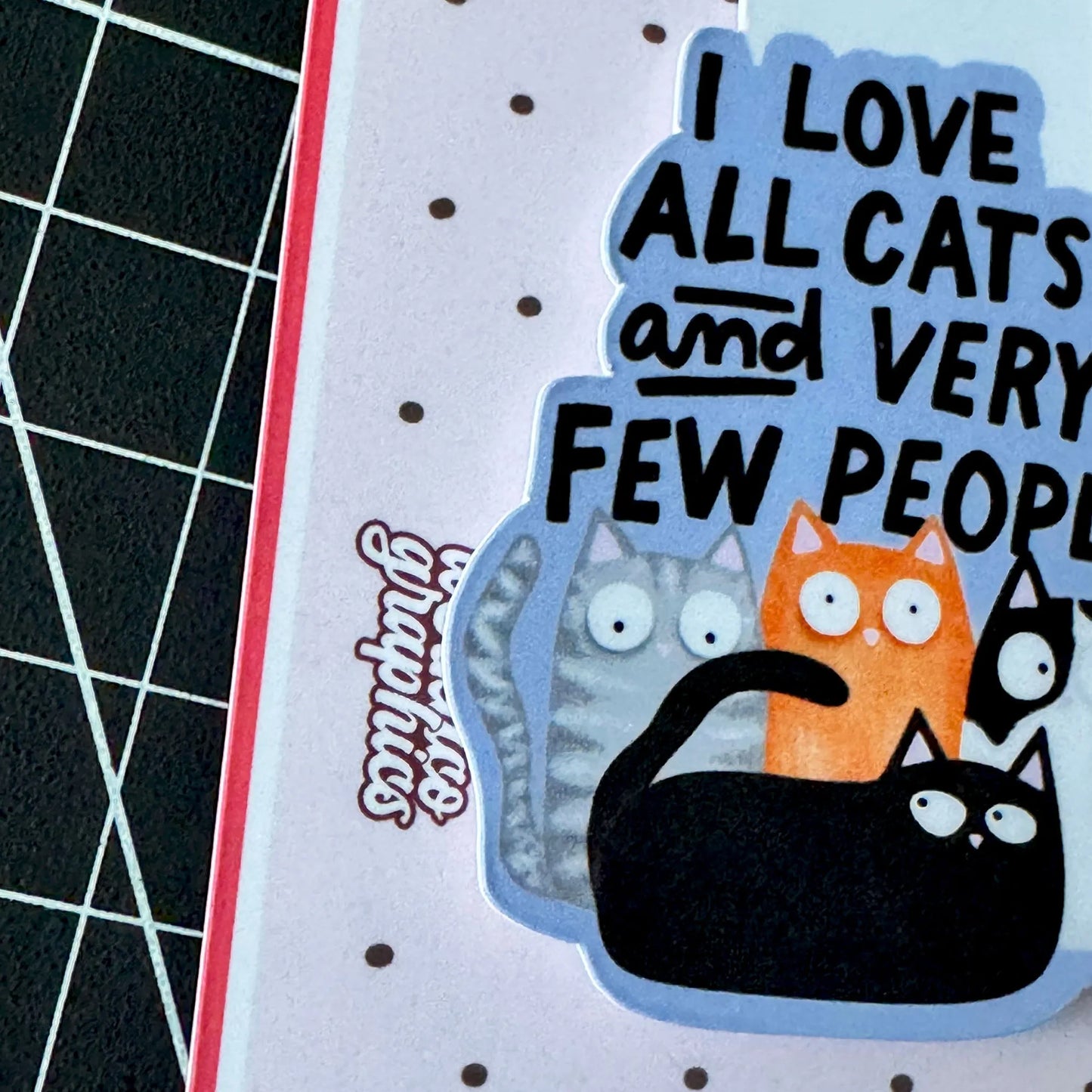 I Love All Cats And Very Few People