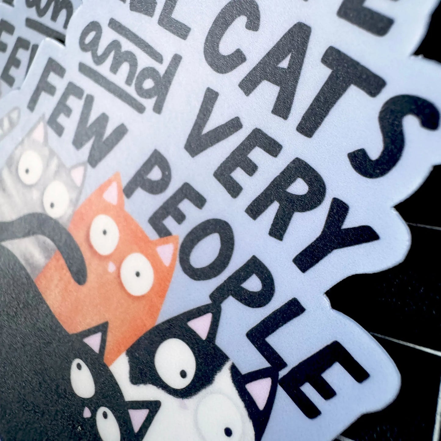 I Love All Cats And Very Few People