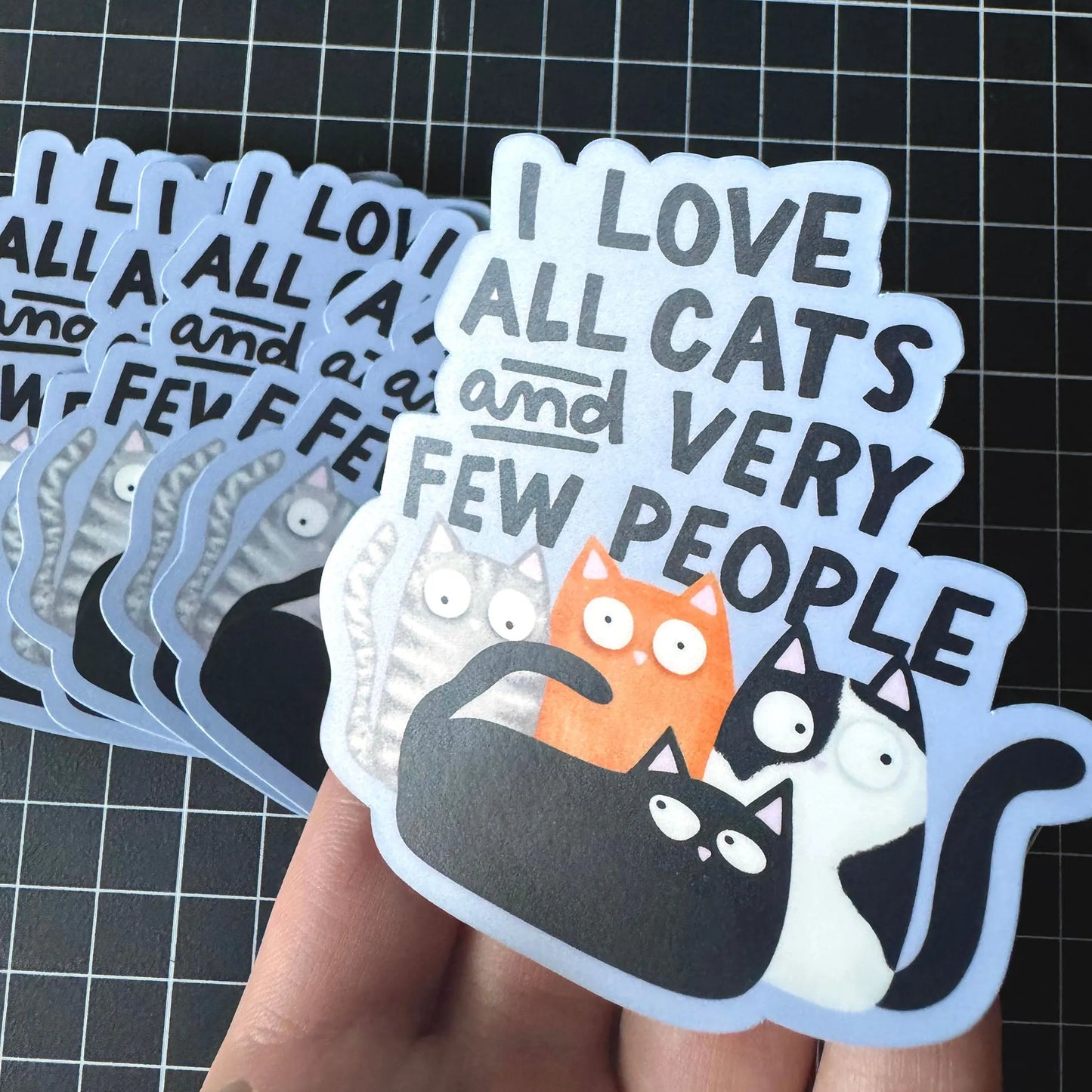 I Love All Cats And Very Few People